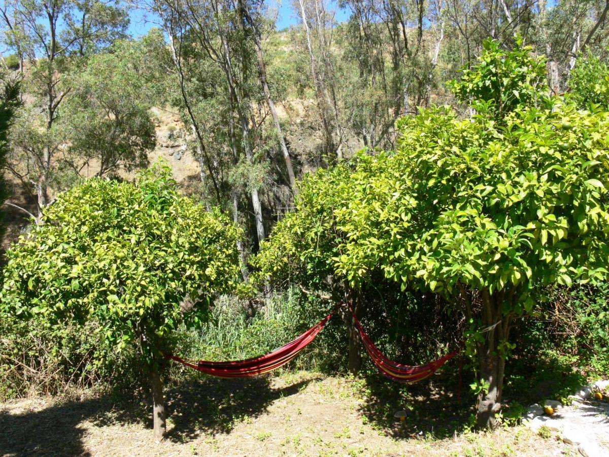 Vegan Guesthouse Finca Pereila โคอิน ภายนอก รูปภาพ