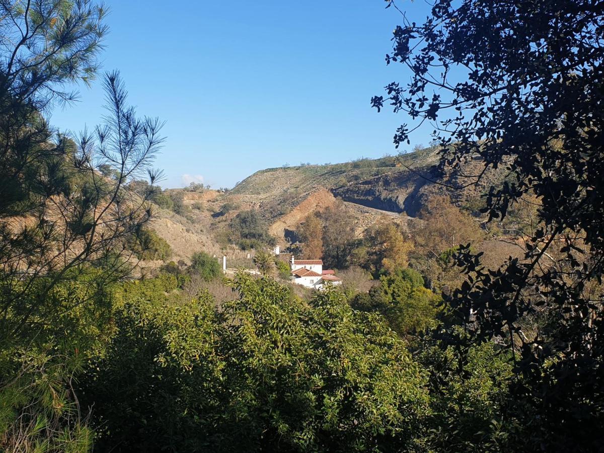Vegan Guesthouse Finca Pereila โคอิน ภายนอก รูปภาพ