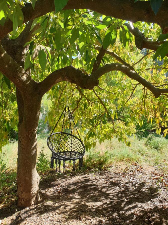 Vegan Guesthouse Finca Pereila โคอิน ภายนอก รูปภาพ